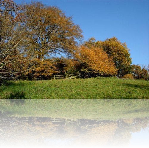 Click on next picture to view